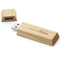 Ingot Wood USB 隨身碟 TUFD108 紀念品